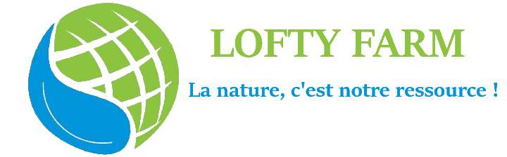 LOFTY FARM